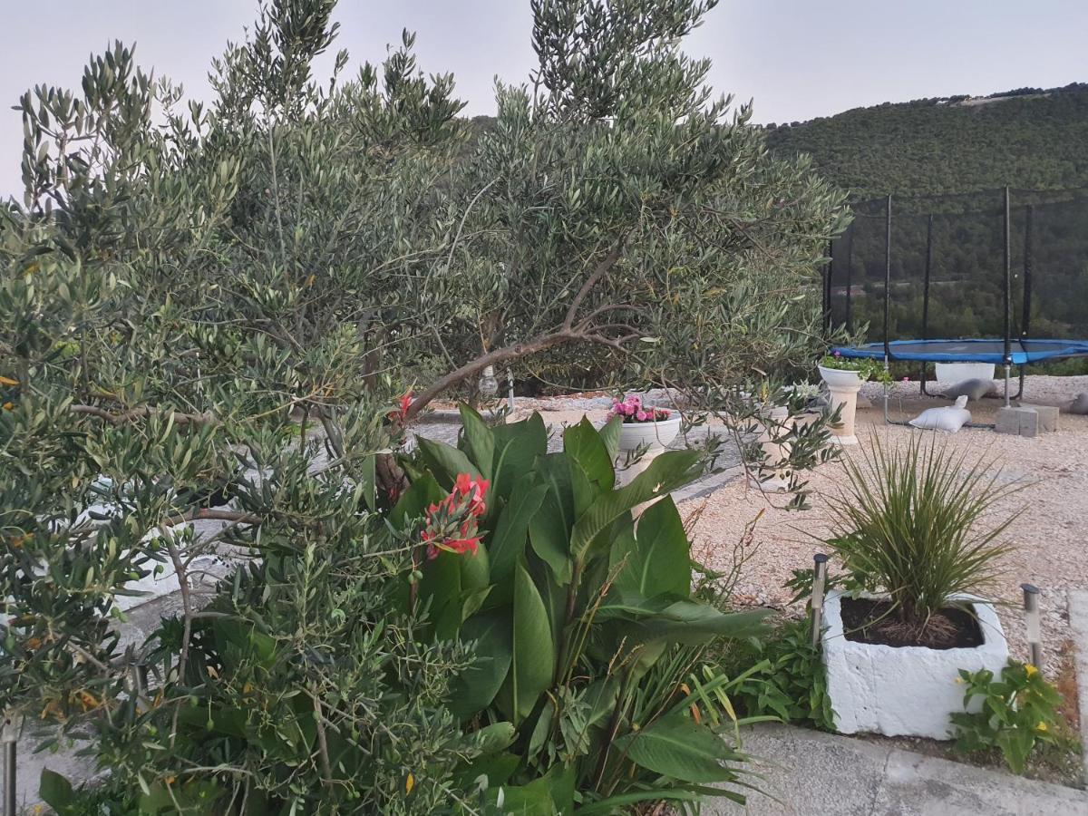 Apartman Mare Sibenik Ngoại thất bức ảnh
