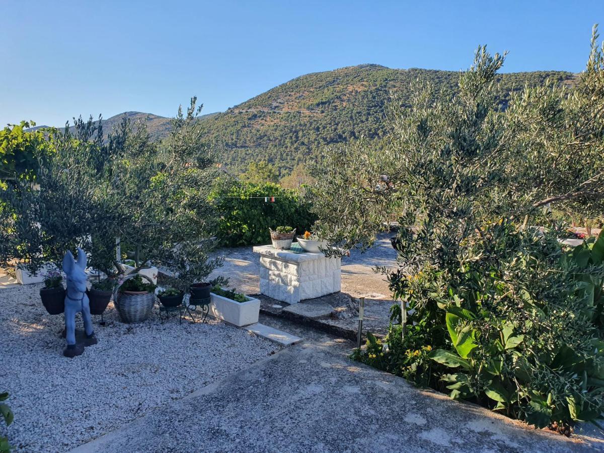 Apartman Mare Sibenik Ngoại thất bức ảnh